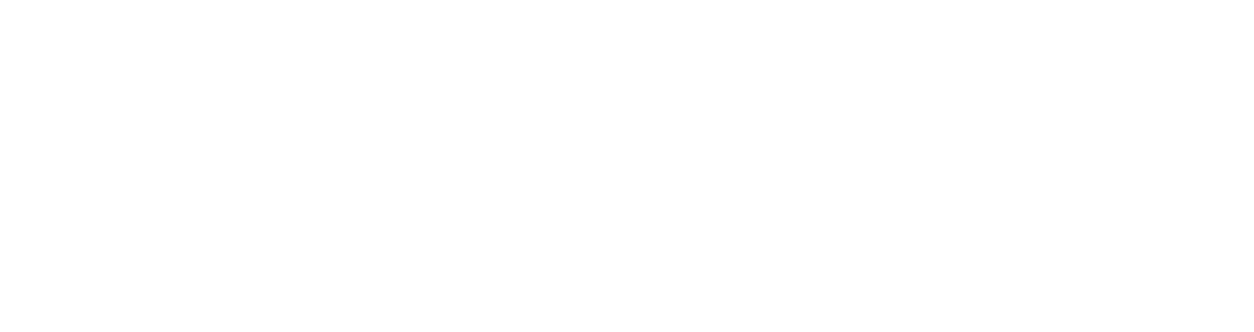 NARBONNE ARENA